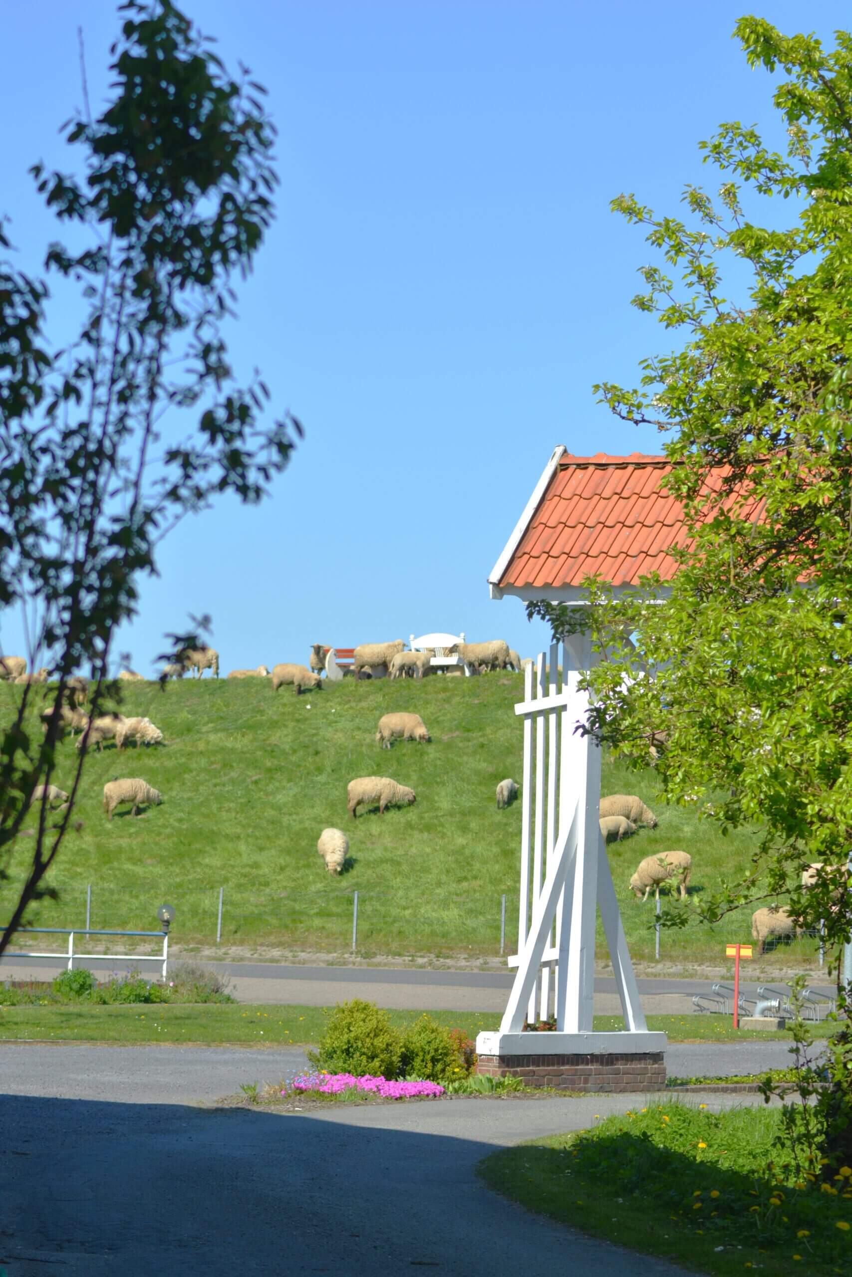 obsthof-von-schassen-start-altes-land-1
