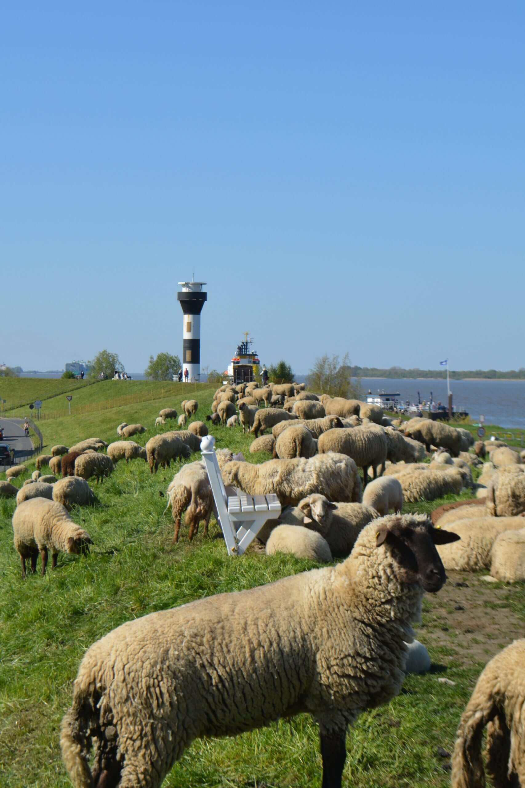 obsthof-von-schassen-start-altes-land-2