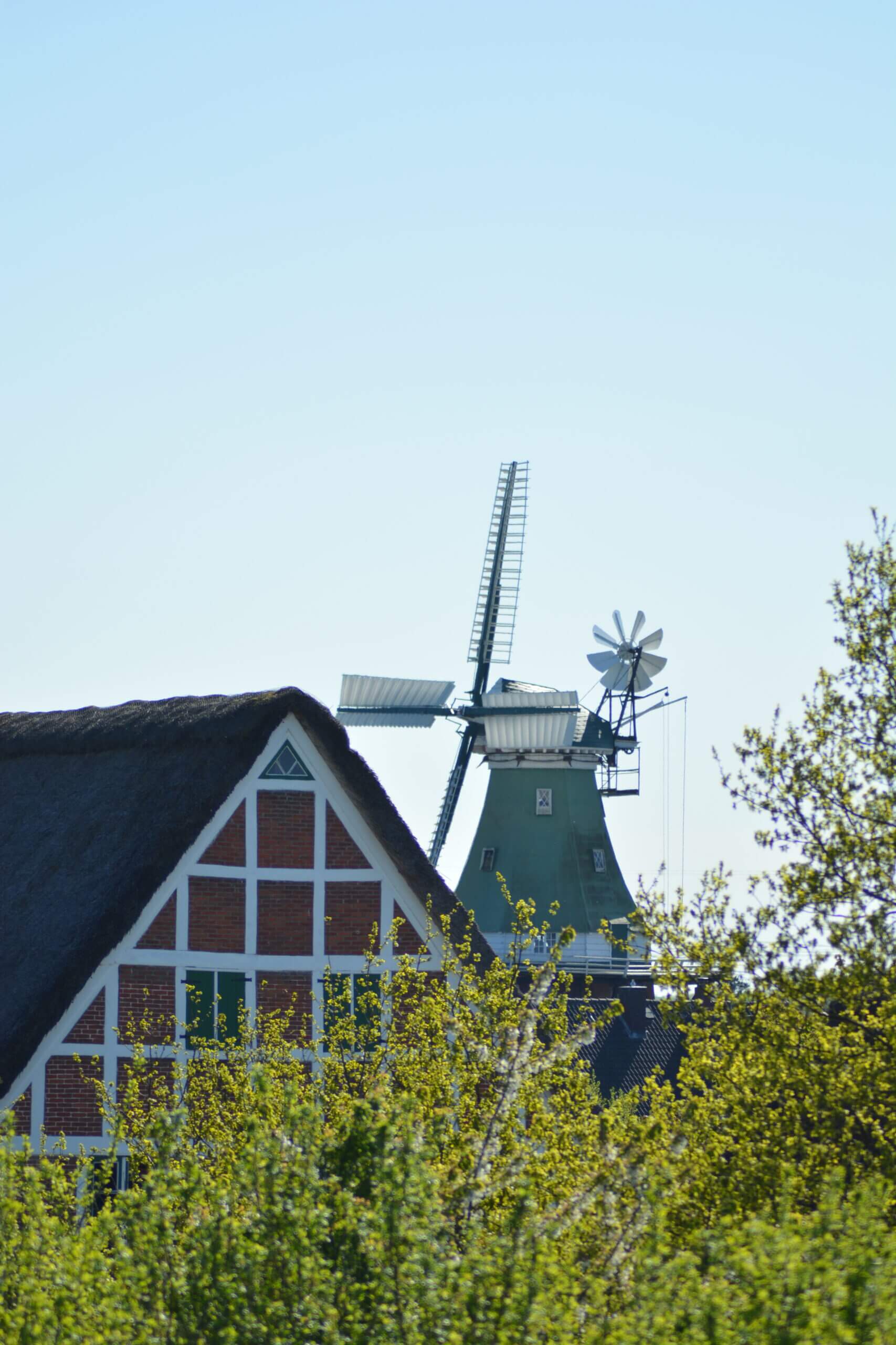 obsthof-von-schassen-start-altes-land-4