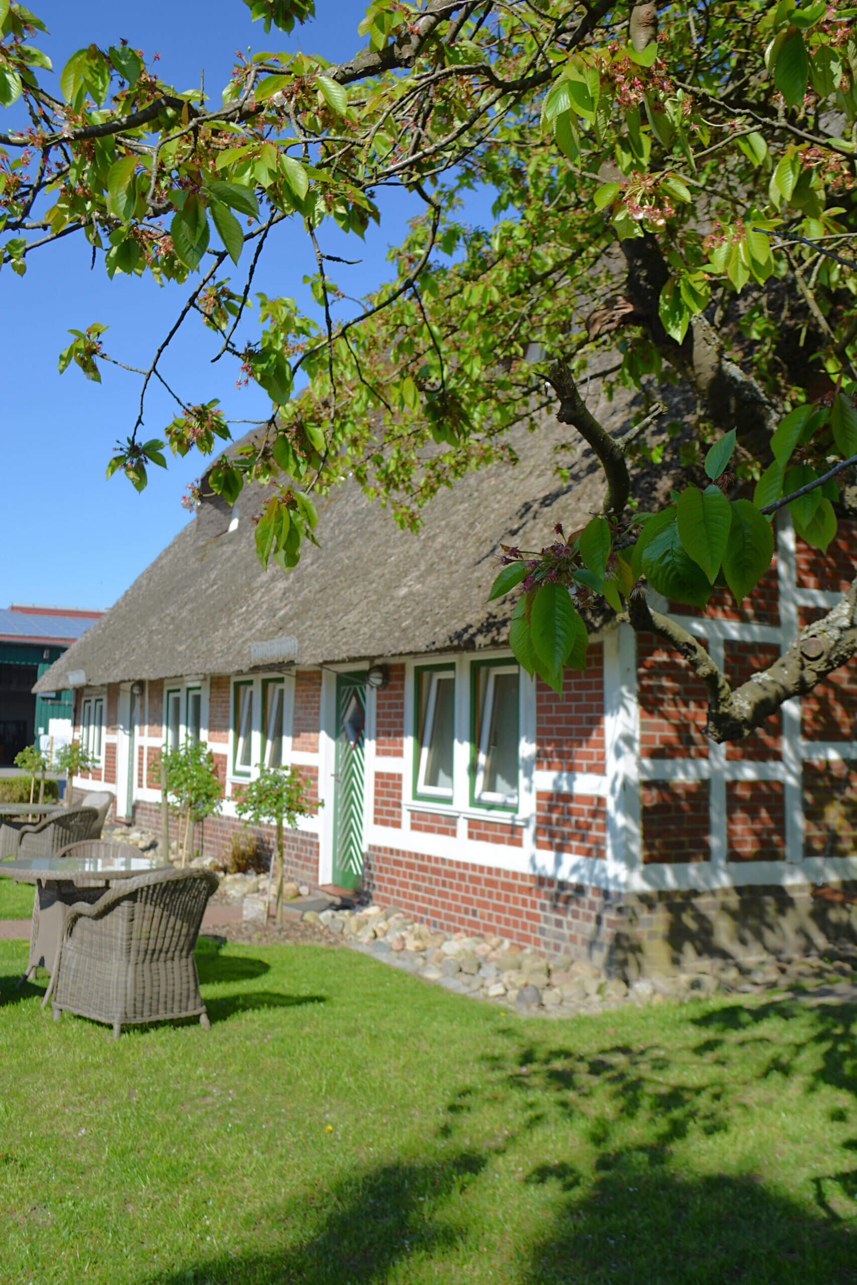 obsthof-von-schassen-start-altes-land-7