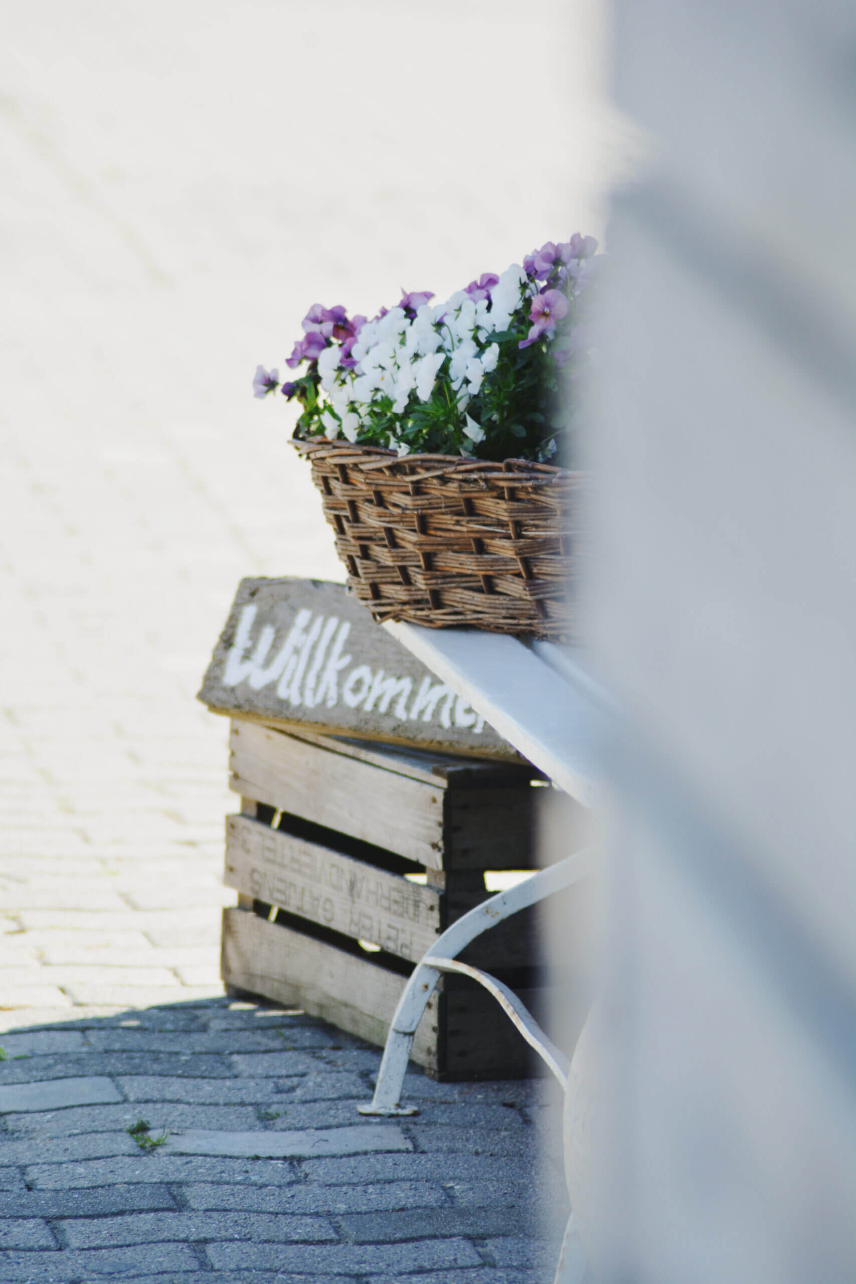 obsthof-von-schassen-start-altes-land-9